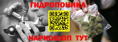 индика Кузнецк