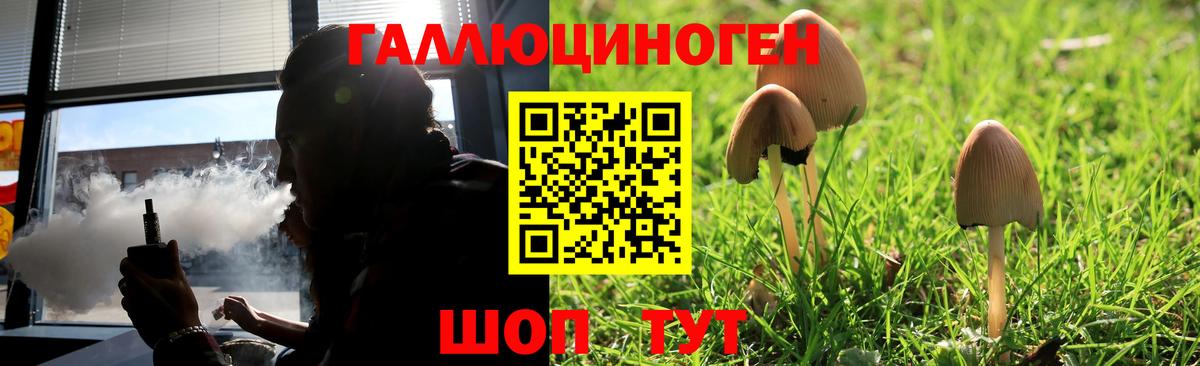 Галлюциногенные грибы GOLDEN TEACHER  Псилоцибиновые грибы ЛСД  Ростов Великий  закладки  Вход с VPN 