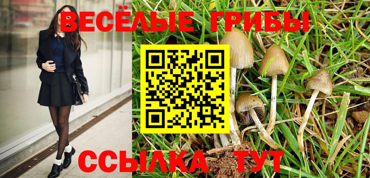 Псилоцибиновые грибы Cubensis Ростов Великий
